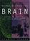 Cover of: Minds behind the Brain