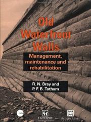 Old waterfront walls by R. N. Bray