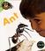 Cover of: Ant (Bug Books)