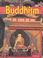 Cover of: Buddhism (World Beliefs & Cultures)
