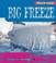 Cover of: Big Freeze (Wild Weather)