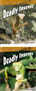 Cover of: Deadly Insects (Wild Predators) by Andrew Solway