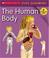 Cover of: The Human Body (Scholastic First Discovery)