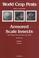 Cover of: Armored Scale Insects : Volume 4B