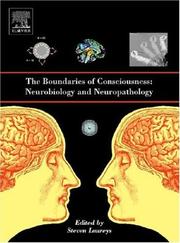 Cover of: The Boundaries of Consciousness: Neurobiology and Neuropathology (Progress in Brain Research)