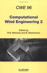 Computational wind engineering 2