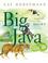 Cover of: Big Java