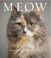 Cover of: Meow