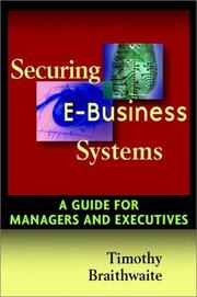 Securing e-business systems by Timothy Braithwaite