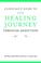 Cover of: Clinician's guide to the healing journey through addiction