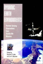 Dynamic earth environments by Lev V. Dessinov