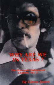 why-are-we-in-texas-cover