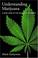 Cover of: Understanding Marijuana
