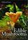 Cover of: 100 Edible Mushrooms