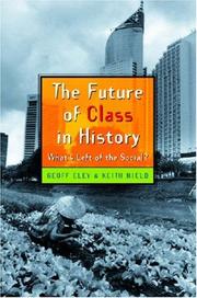 Cover of: The Future of Class in History: What's Left of the Social?