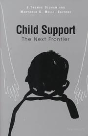 Cover of: Child support: the next frontier
