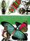 Cover of: Séguy's Decorative butterflies & insects in full color