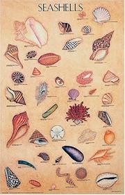 Cover of: Seashells Poster (Posters) by Dover Publications, Inc.