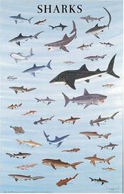 Cover of: Sharks Poster (Posters) by Dover Publications, Inc.