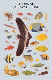 Cover of: Tropical Saltwater Fish Poster (Posters) by Dover Publications, Inc.