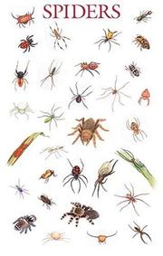 Cover of: Spiders Poster (Posters) by Dover Publications, Inc.
