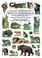 Cover of: Old-Fashioned Wild Animals Stickers