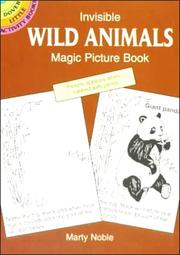 Cover of: Invisible Wild Animals Magic Picture Book