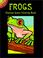 Cover of: Frogs Stained Glass Coloring Book