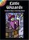 Cover of: Little Wizards Stained Glass Col Bk