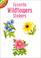 Cover of: Favorite Wildflowers Stickers