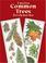 Cover of: Twelve Common Trees Bookmarks (Small-Format Bookmarks)