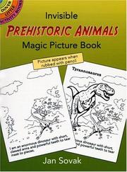 Cover of: Invisible Prehistoric Animals Magic Picture Book by Jan Sovak