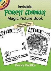 Cover of: Invisible Forest Animals Magic Picture Book