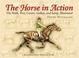 Cover of: The Horse in Action