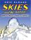 Cover of: Skies and the Artist