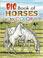 Cover of: Big Book of Horses to Color