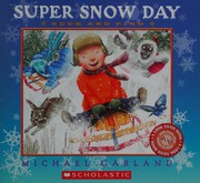 Cover of: Super snow day: seek and find