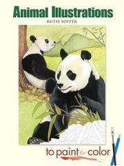 Cover of: Animal Illustrations to Paint or Color
