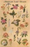 Cover of: American Wildflowers Poster (Posters) by Dover Publications, Inc.