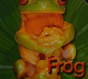 Cover of: Frog