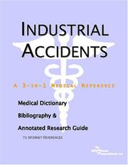 Cover of: Industrial Accidents by Philip M. (DRT) Parker, Philip M. (DRT) Parker