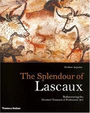 Cover of: The Splendour of Lascaux