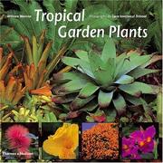 Tropical Plants for Home and Garden by William Warren