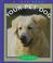 Cover of: Your pet dog