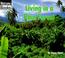Cover of: Living in a Rain Forest (Welcome Books: Communities)