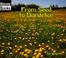 Cover of: From Seed to Dandelion (How Things Grow)