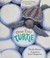 Cover of: One tiny turtle