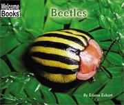Cover of: Beetles (Welcome Books) | 