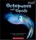 Cover of: Octopus and Squid (Undersea Encounters)