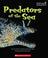 Cover of: Predators of the sea